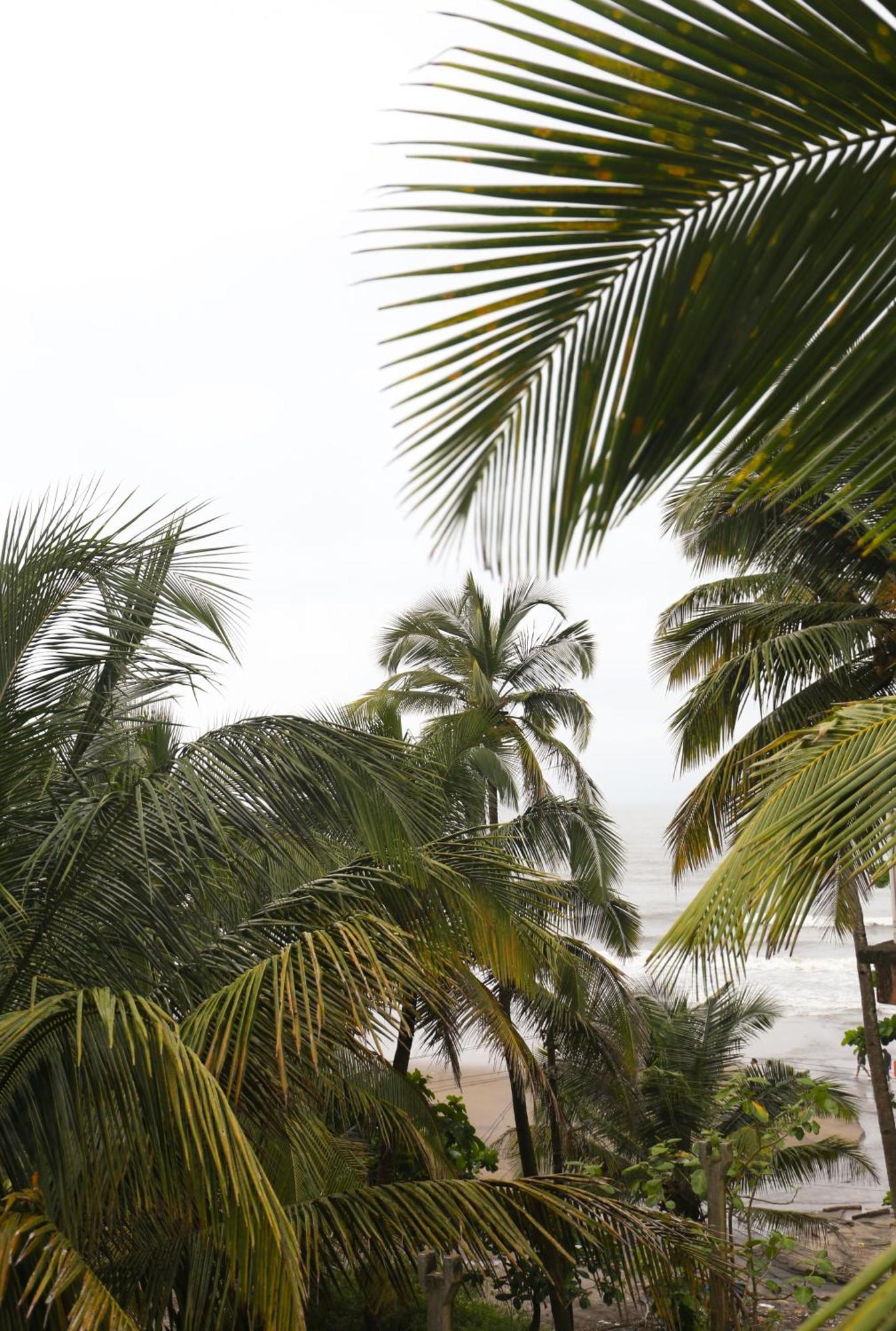 Kumbaya Beachside Hostel & Apartments At Arambol Beach Exterior photo