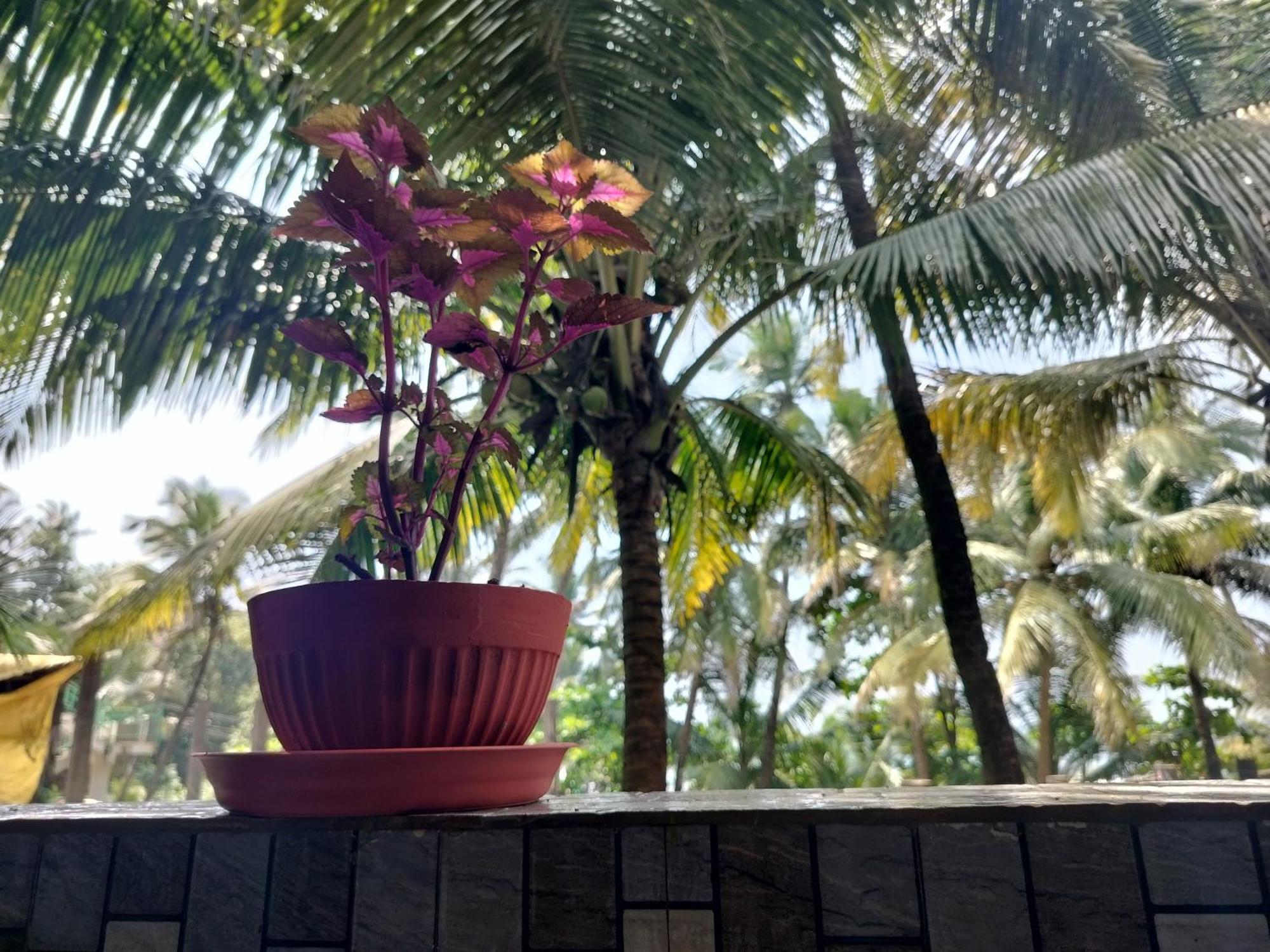 Kumbaya Beachside Hostel & Apartments At Arambol Beach Exterior photo